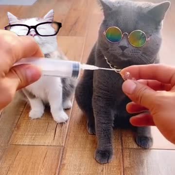 Creepy Joe Pressures @catturd2 To Get The Jab...