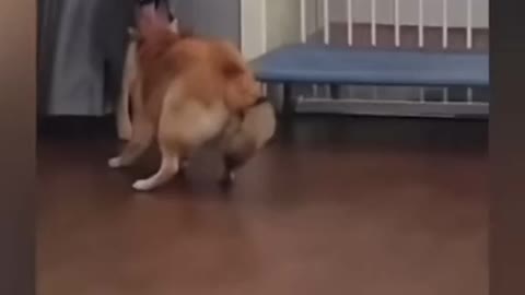 let's play?