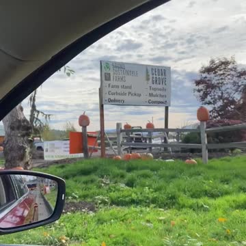 Organic pumpkin pie?