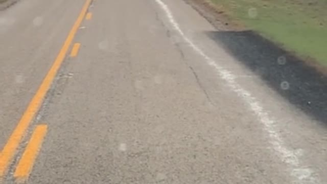 captam hermoso momento de la naturaleza