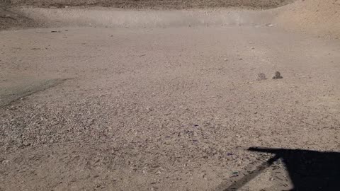 Tannerite Compilation