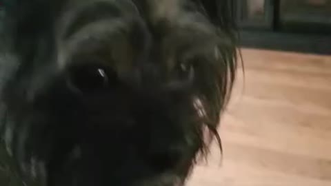 We can't have nice things.