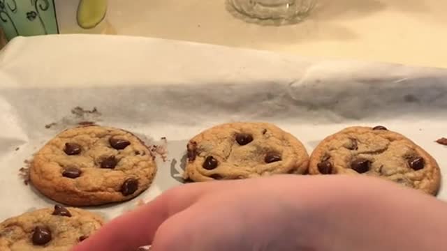 i’ve made every kind of cookie except chocolate chip on this account