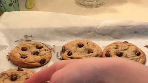 i’ve made every kind of cookie except chocolate chip on this account