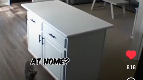 Big Brother Is Watching You