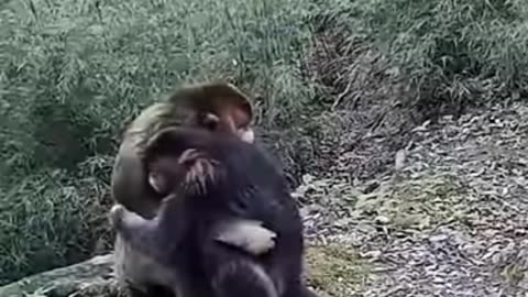 Mother and son