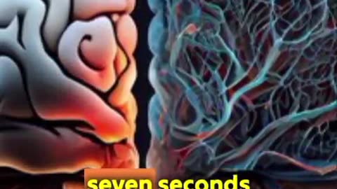 Frequency and Vibration Effects on Our Soul
