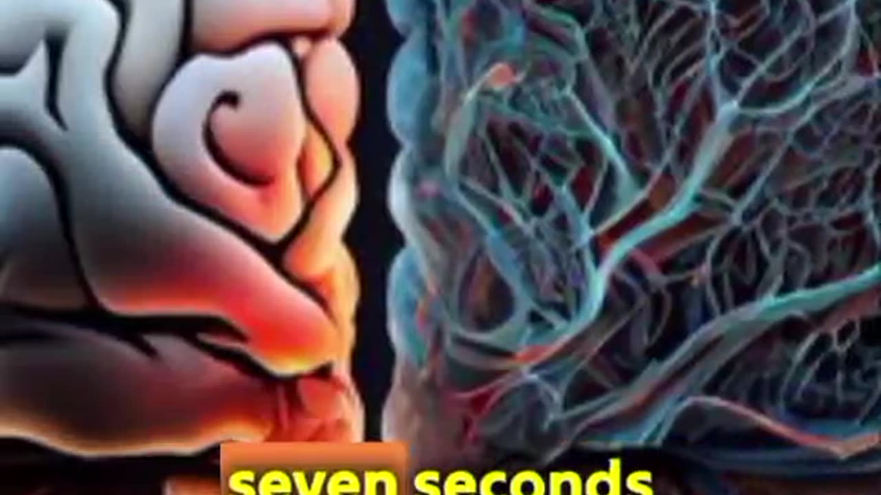 Frequency and Vibration Effects on Our Soul