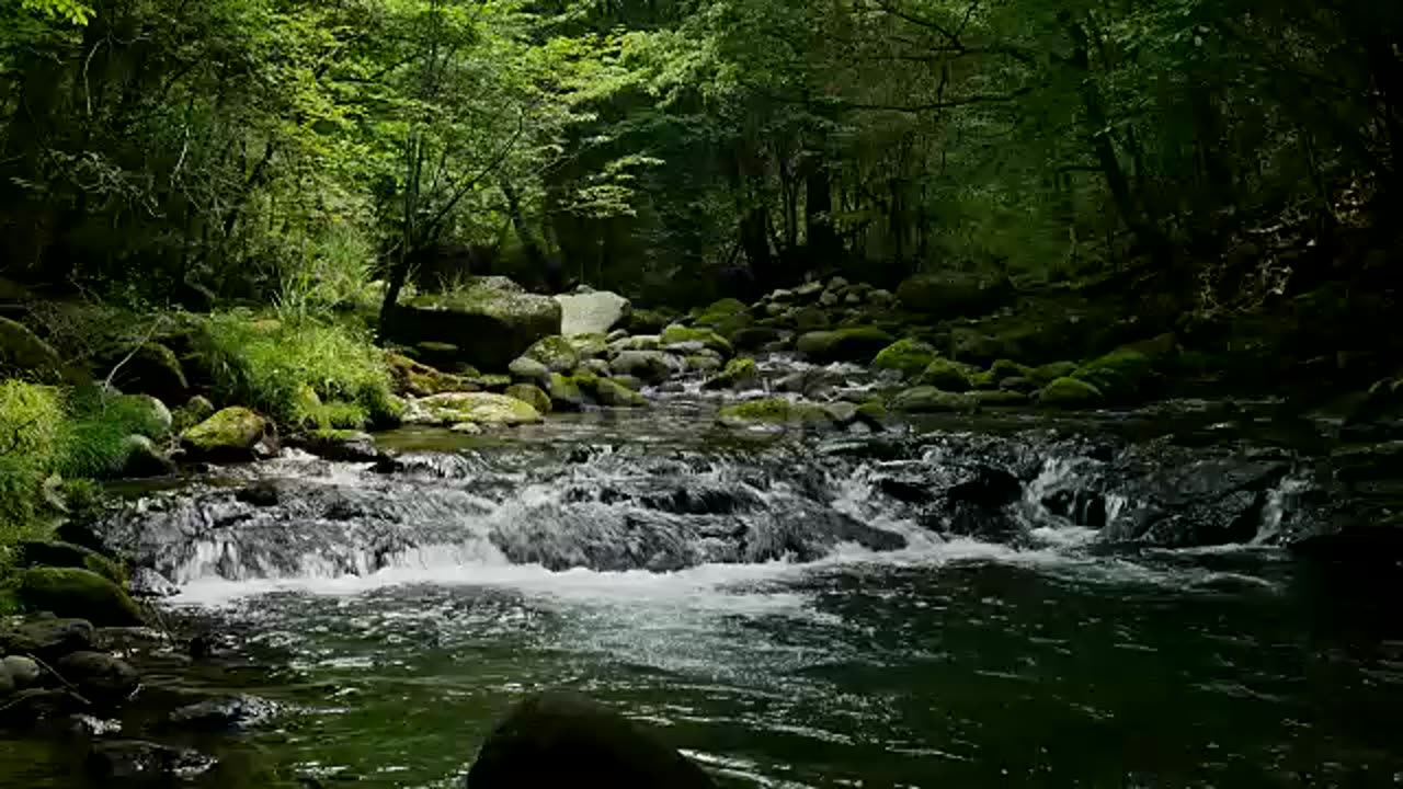 Landscape of clear stream stock video...