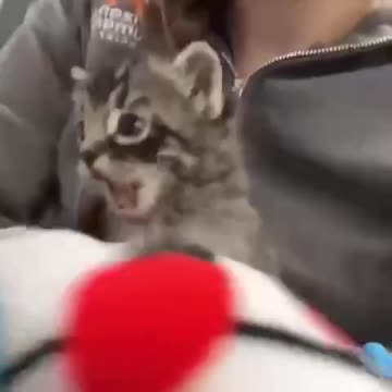 Do to others as you would have them do to you 🤣