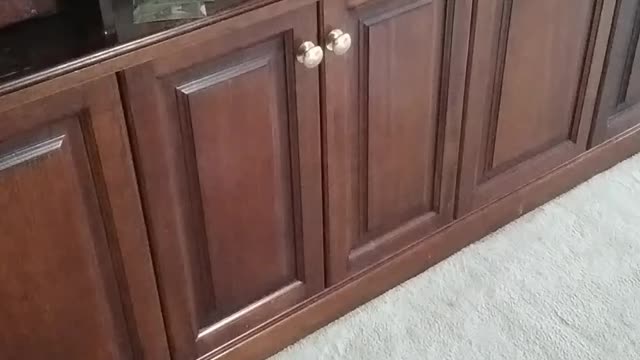 Mysterious noises from 150 year old cupboard