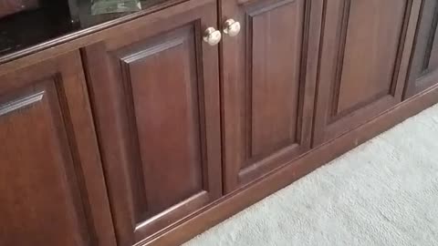 Mysterious noises from 150 year old cupboard
