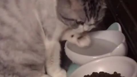 Why don't you just drink it with your mouth