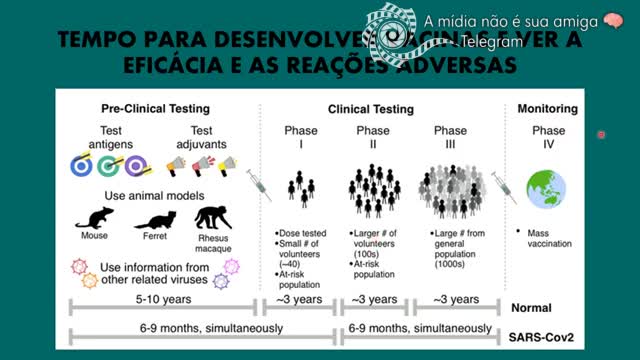 DRA MARIA EMÍLIA GADELHA MOSTRA INFORMAÇÕES TÉCNICAS DAS VACINAS. PARTE 3