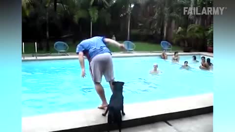 NOT THE SMARTEST DOGS - Derpy Dogs - LAUGH Compilation