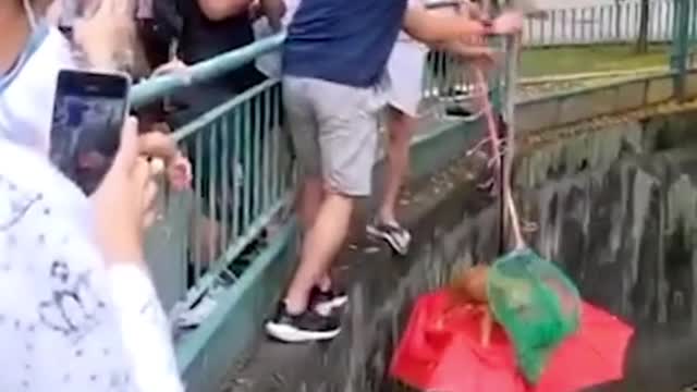 Jalan Besar residentshoist cat out of canal with umbrella contraption