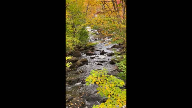 By the river in fall