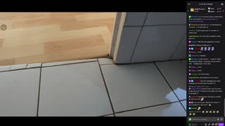 2023-03-05 (1bis.2) - Vidage intégral - Twitch Decheterie (version avec chat)