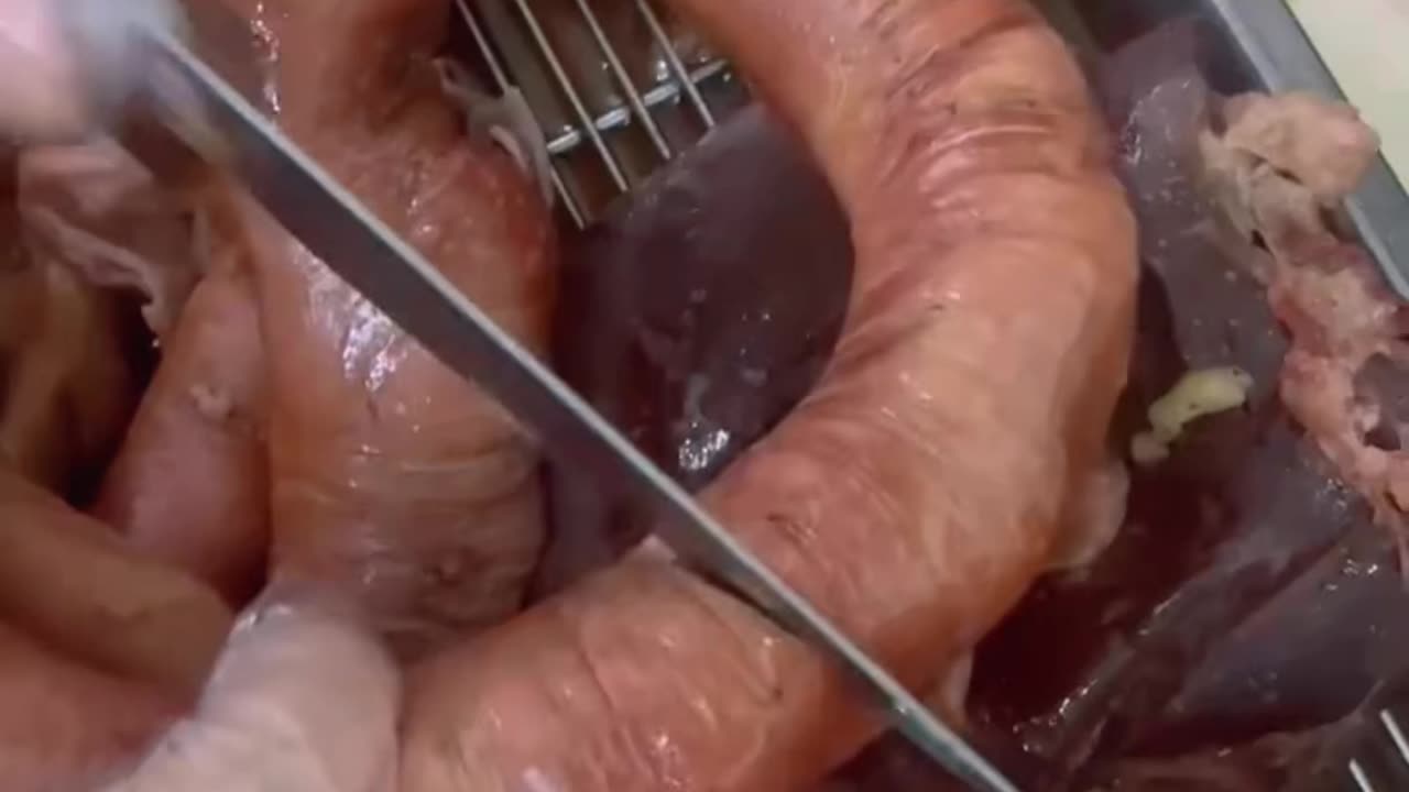 Meat Amazing Cutting animals video