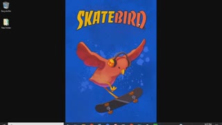 Skatebird Part 2 Review