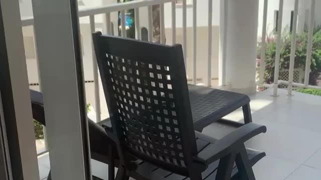 Girl Runs into Glass While Showing Terrace of a Flat