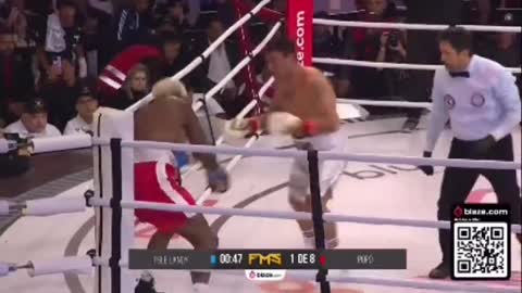 Boxer 