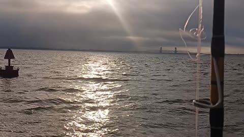 Sunrise ocean eagle
