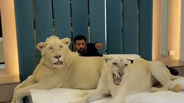 World most scary funny video