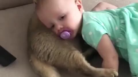 Our new Babysitter is amazing 😍😍 Love cats? Like & Share