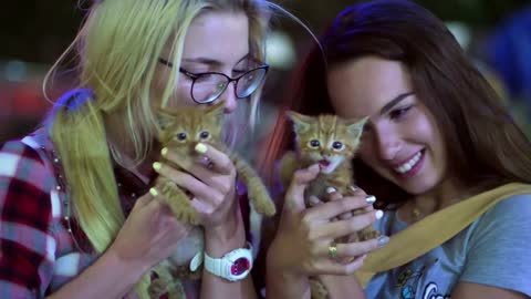 Two girls playing with red kittens outdoor