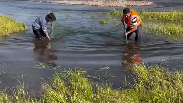 The fresh fish is very delicious.