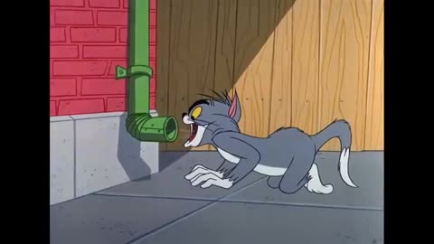 Tom and Jerry