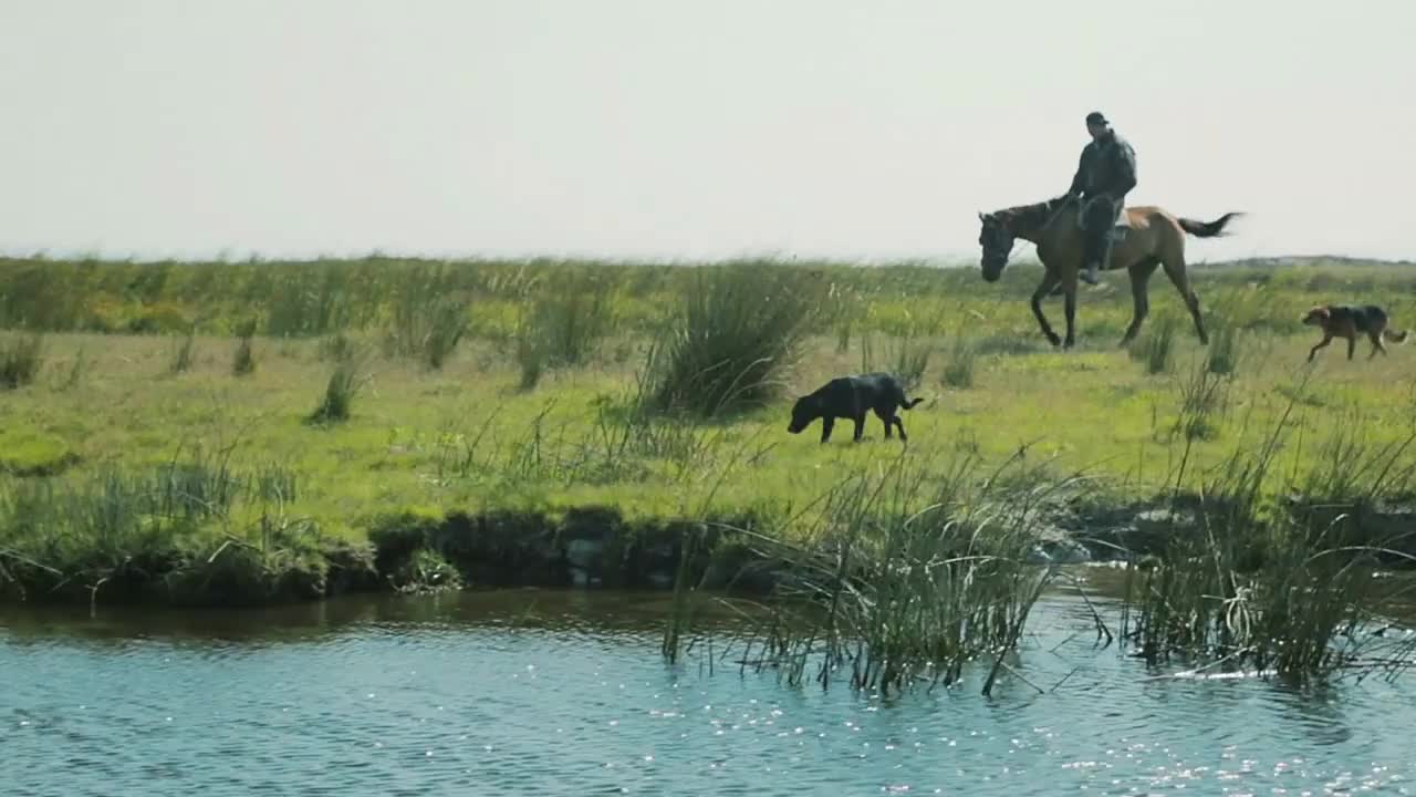 Man and horse in field near river. Danube Delta, Romania