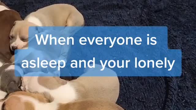 When everyone is asleep and your lonely