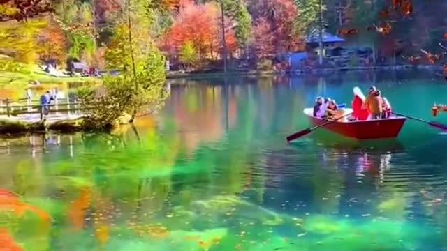 #scenery #nature #healing