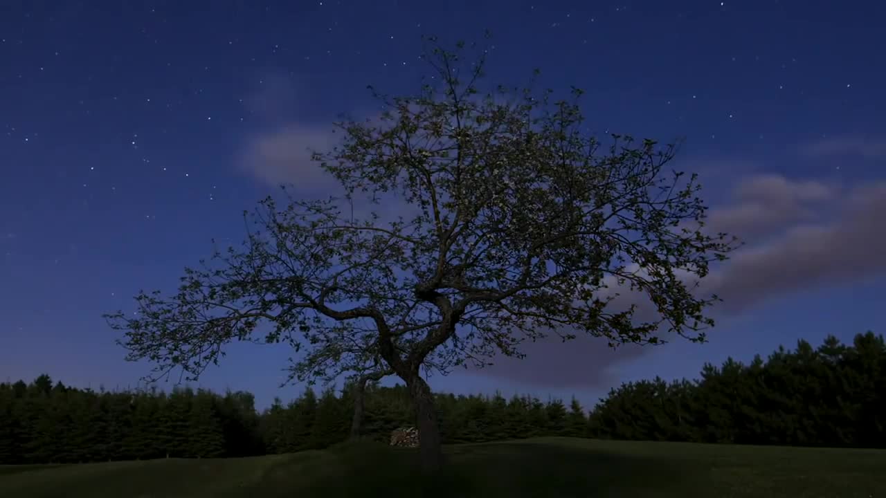 It’s like a ride…