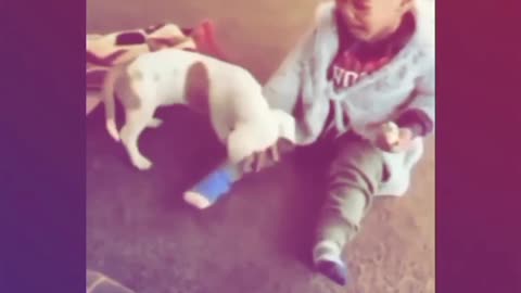 Funny video