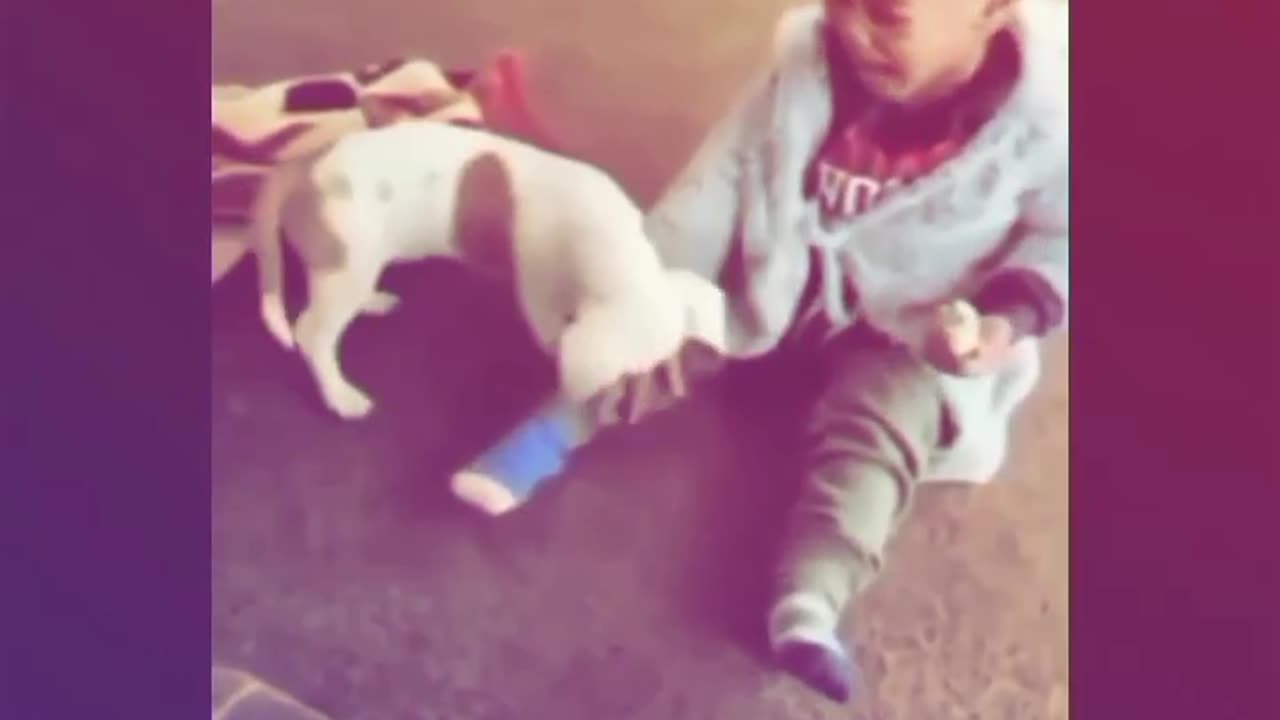 Funny video