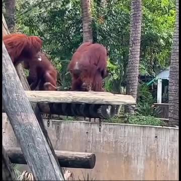 Bro wasn’t taking any kind of disrespect today 💀