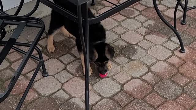 Kai playing with her little ball