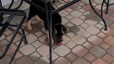 Kai playing with her little ball