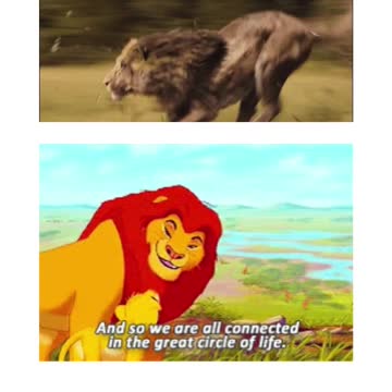 leao de juda desenho