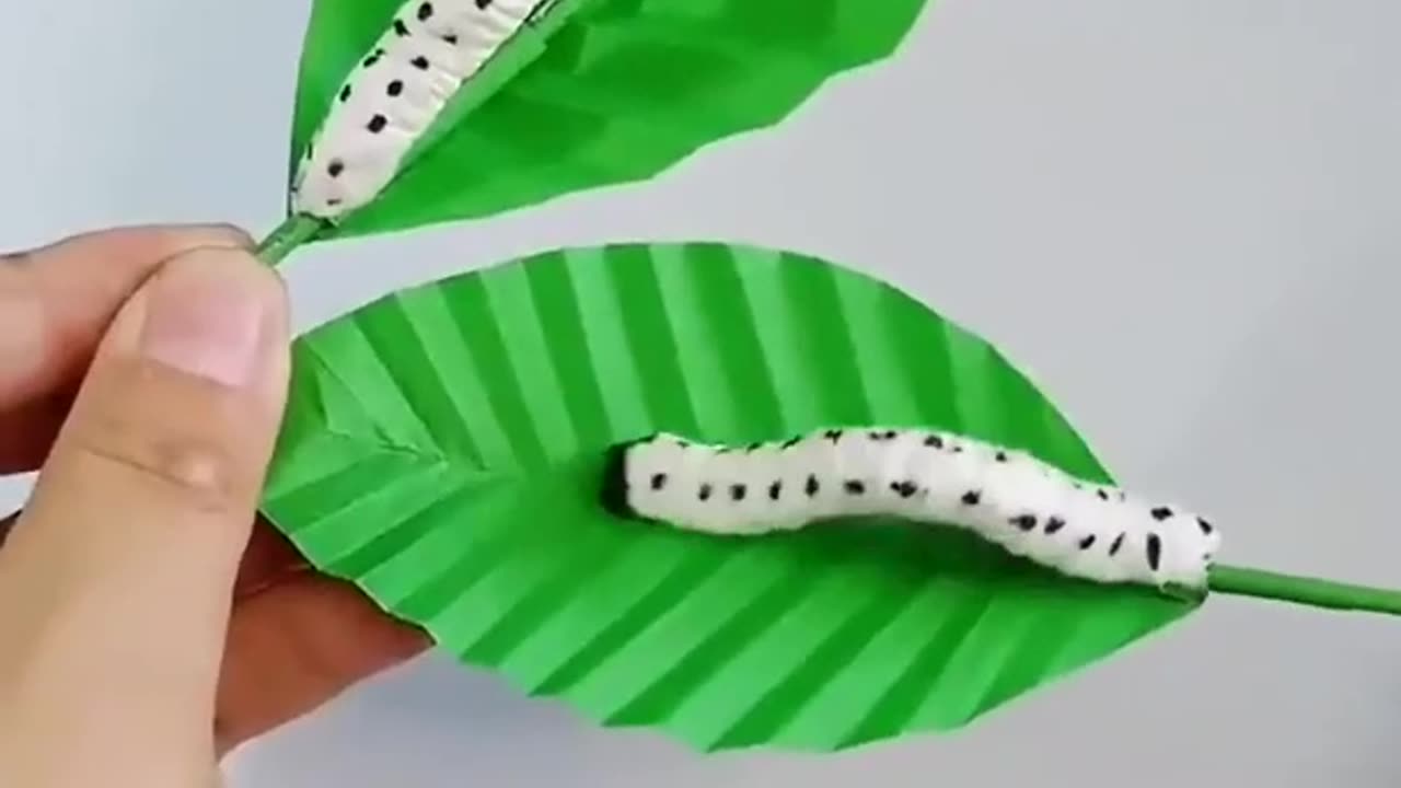 amazing idea 🐛🐛