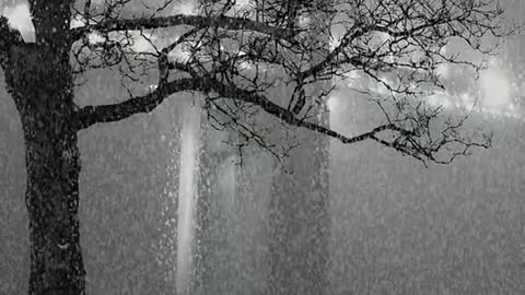 A person to see snow, a person to read