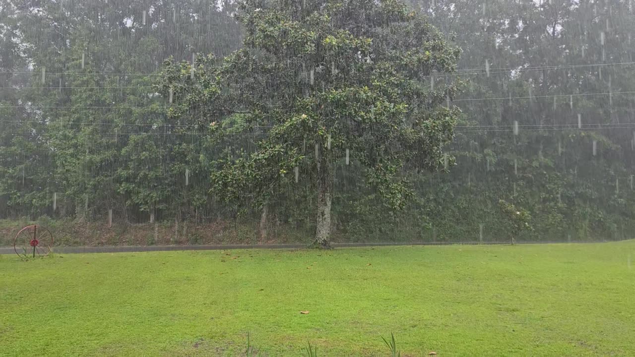 GSG Porch Report 050723 storm watch