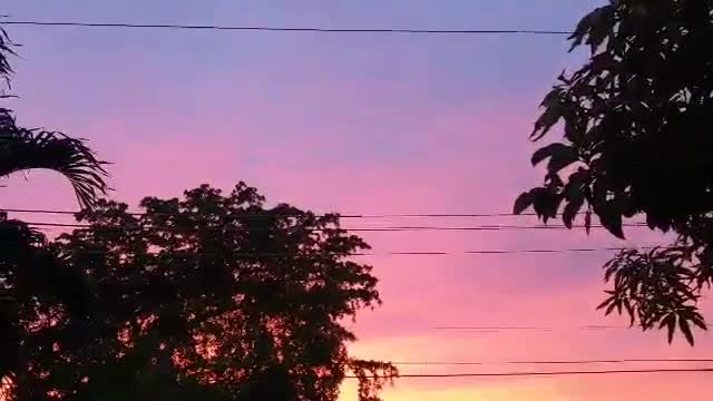PUESTAS DE SOL INCREIBLES EN MI CASA- CORAL GABLES