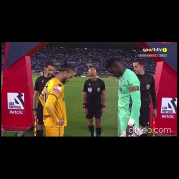 Mother of highly criticised Euros referee falls to death in tragic accident