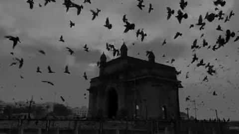 Beautiful visuals of nature with soulful voice ❤️😊