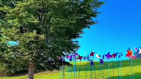 Come and have a look, the beautiful scenery