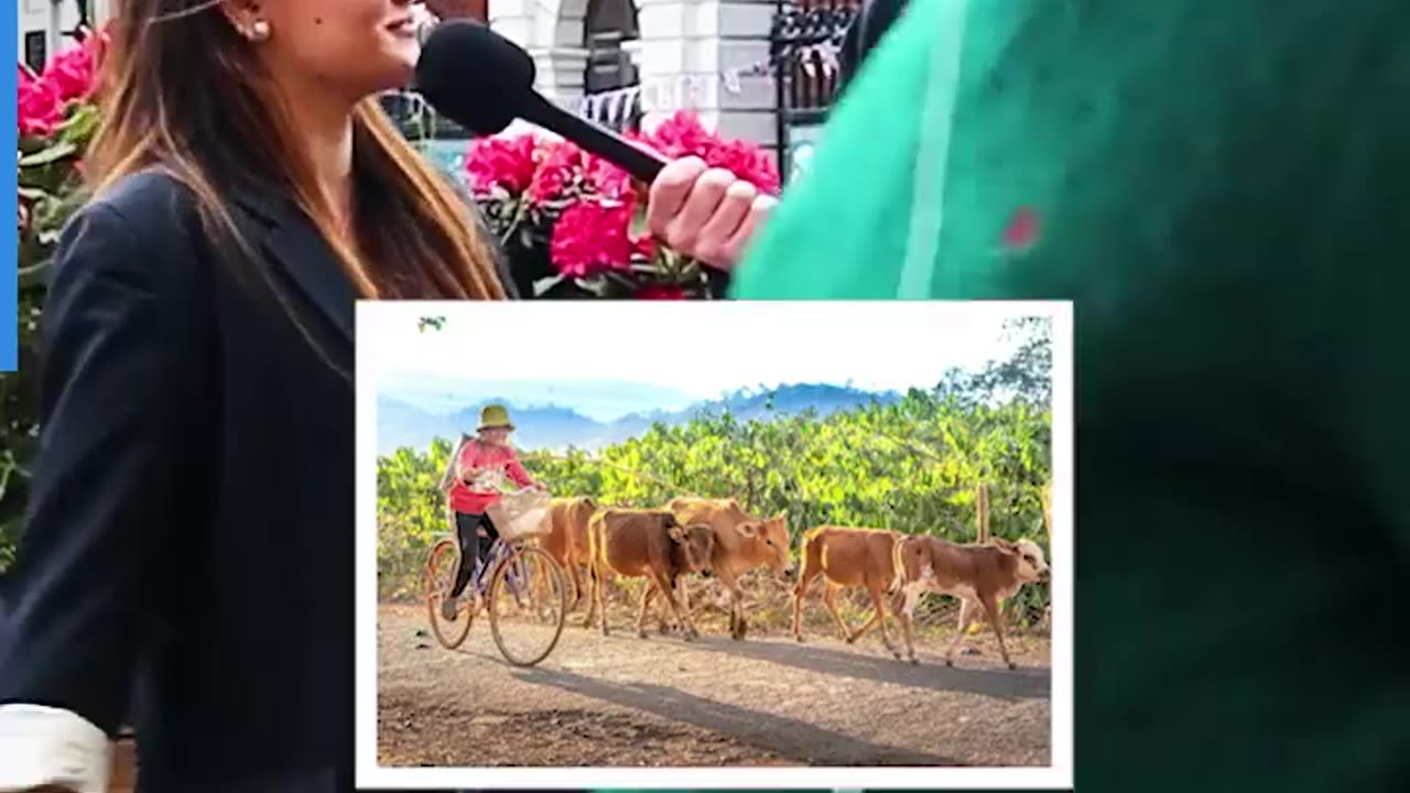 Why these people so crazy to visit this country??🤔🤔🤔